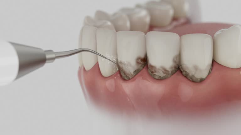 Reliable Dental contractor in Brass Castle, NJ by Dentist Open Now